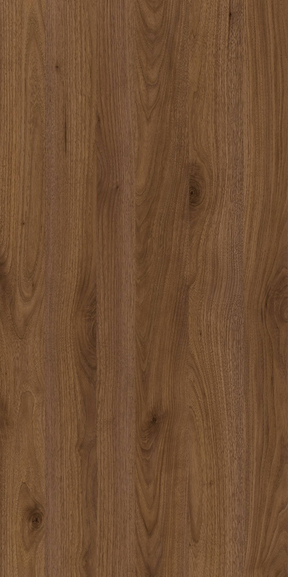 Tahoe Walnut