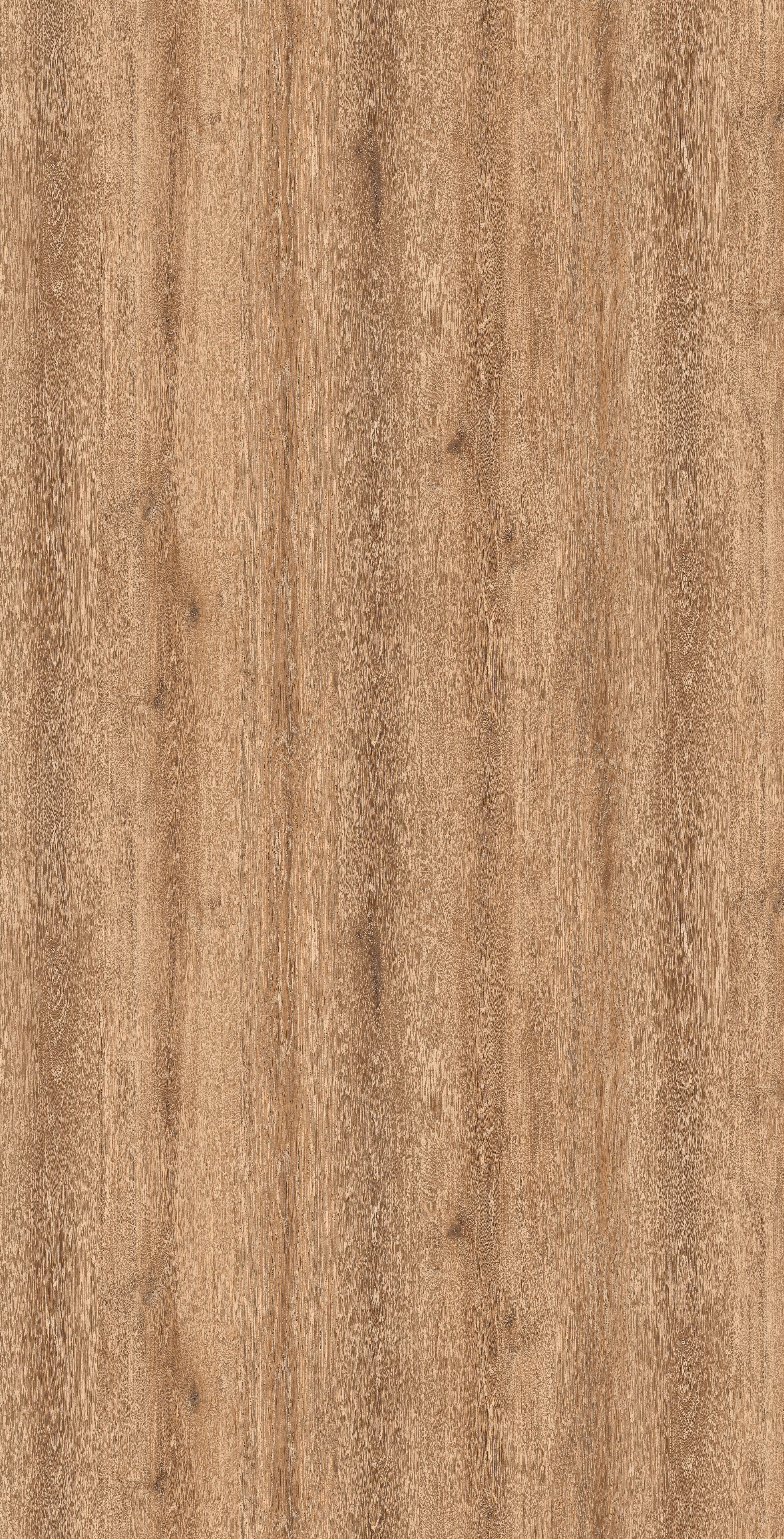 Oiled Oak