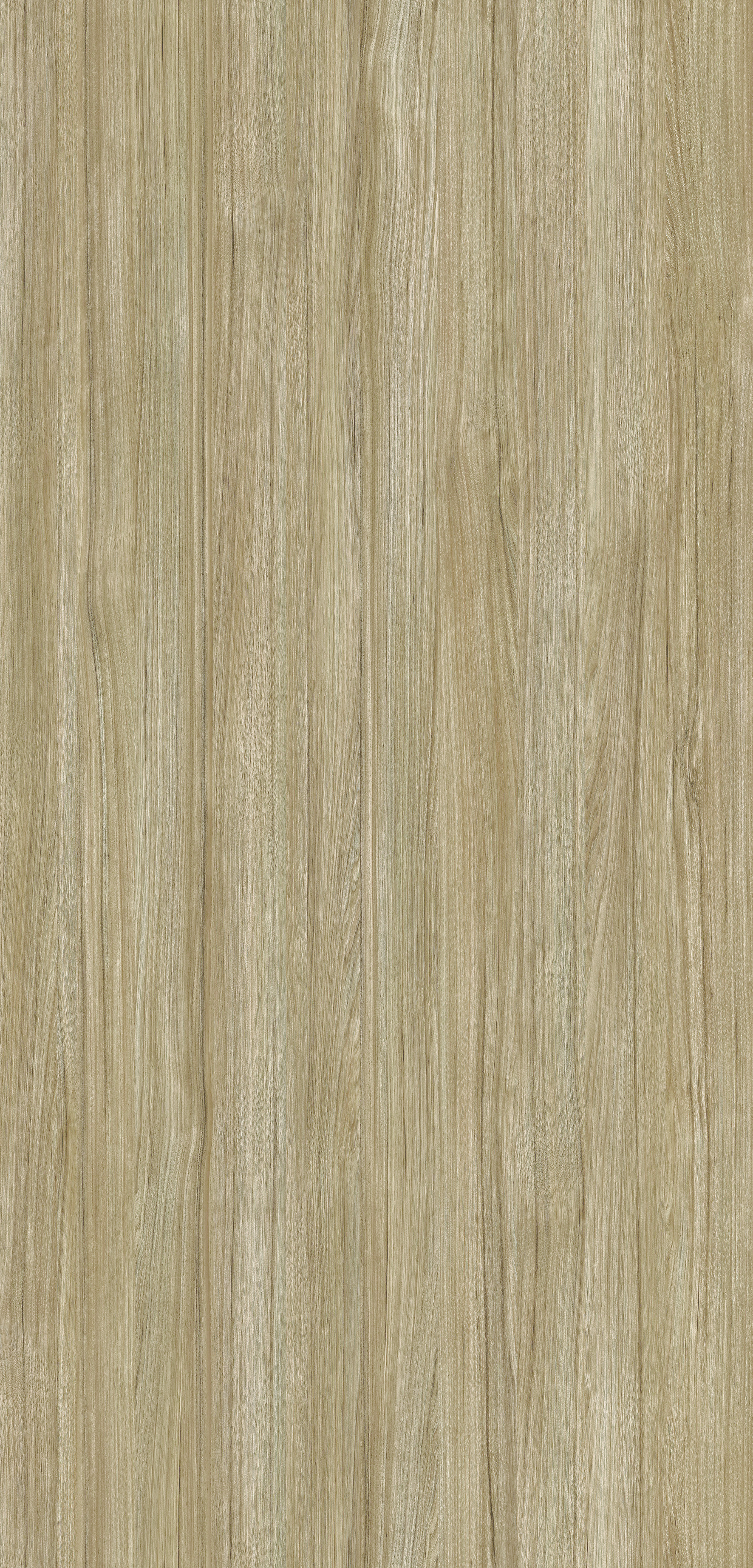 Honey Ash