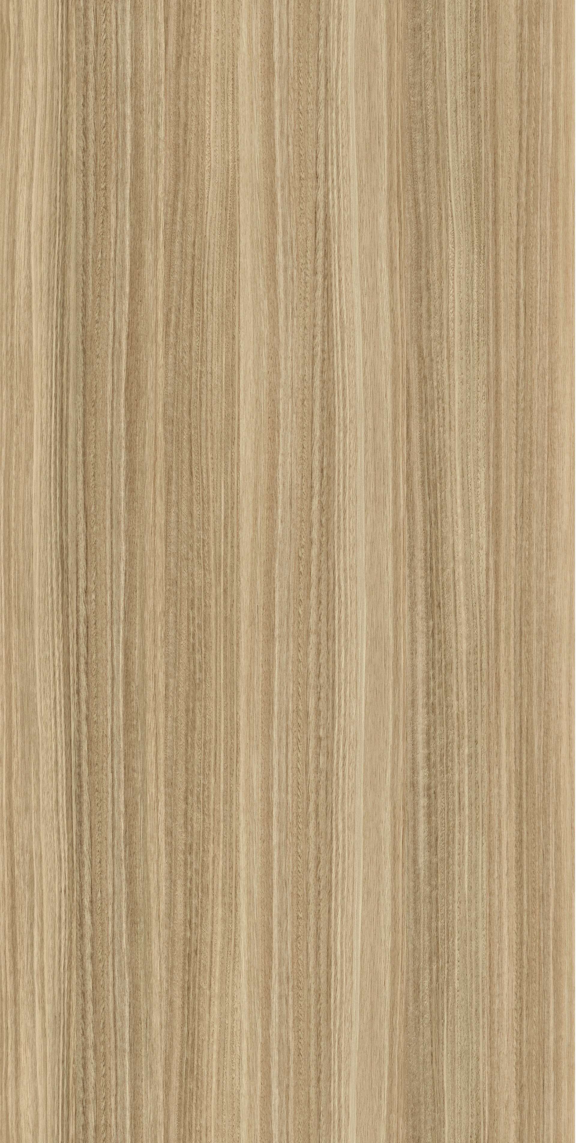 Simply Eucalyptus