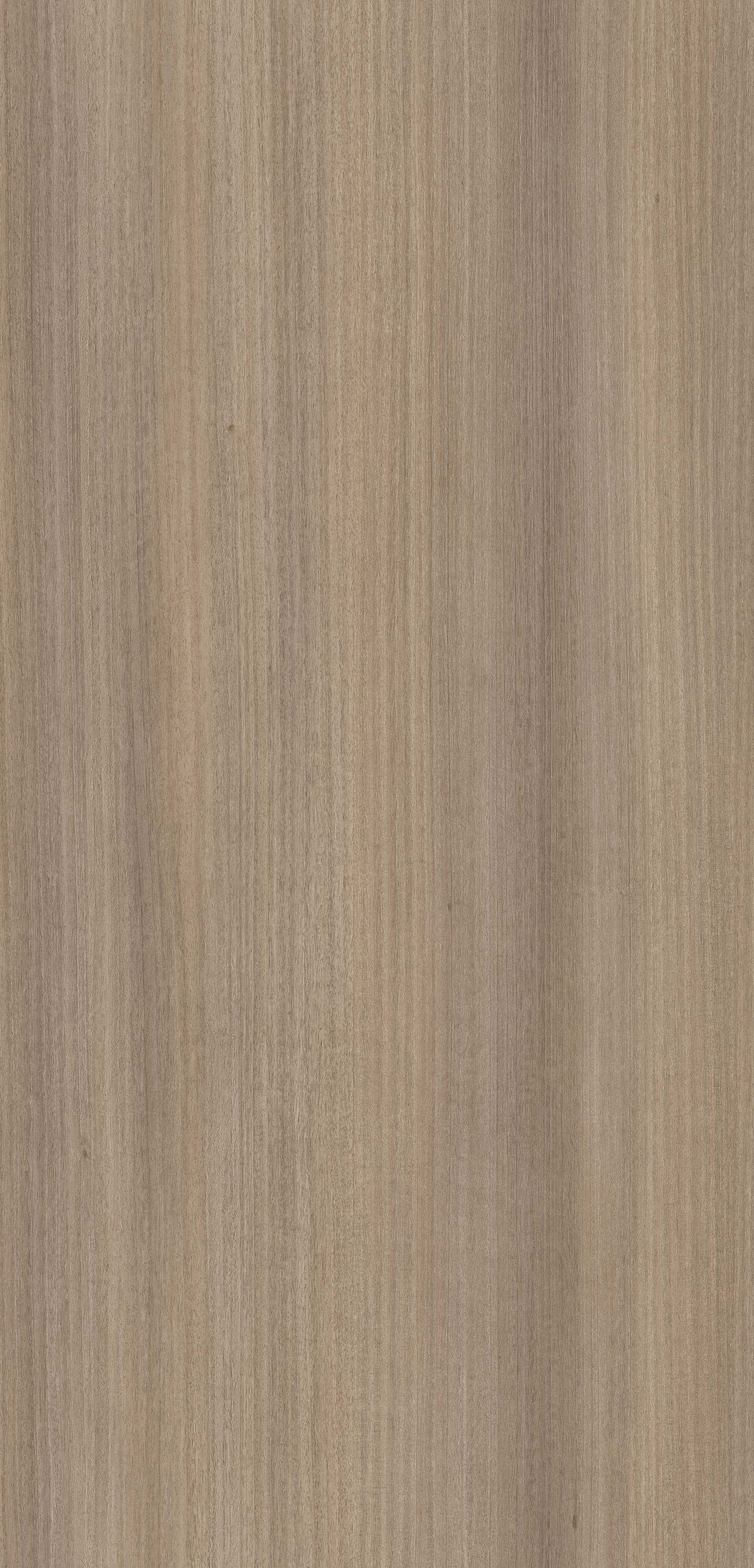 Alberta Larch